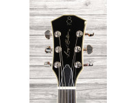 Sire Larry Carlton H7 CS Sire Larry Carlton H7 CS
